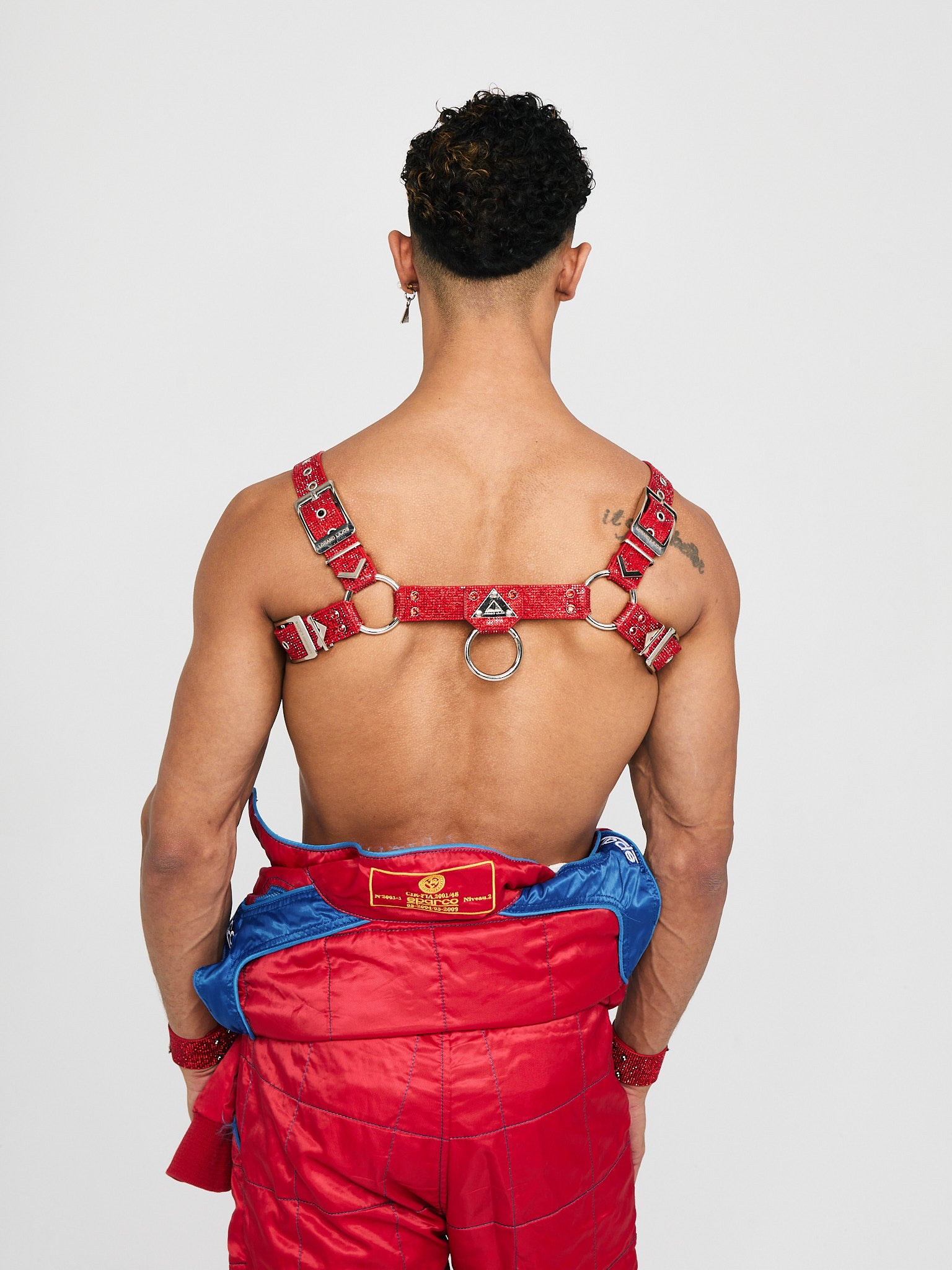 H-HARNESS Kristall