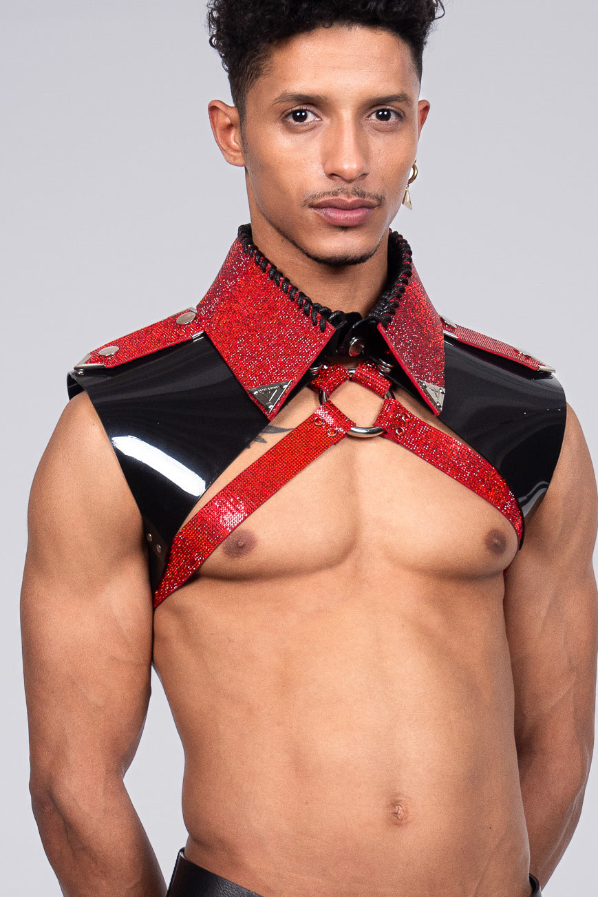 ARNOLD set black vinyl and crystal accessory