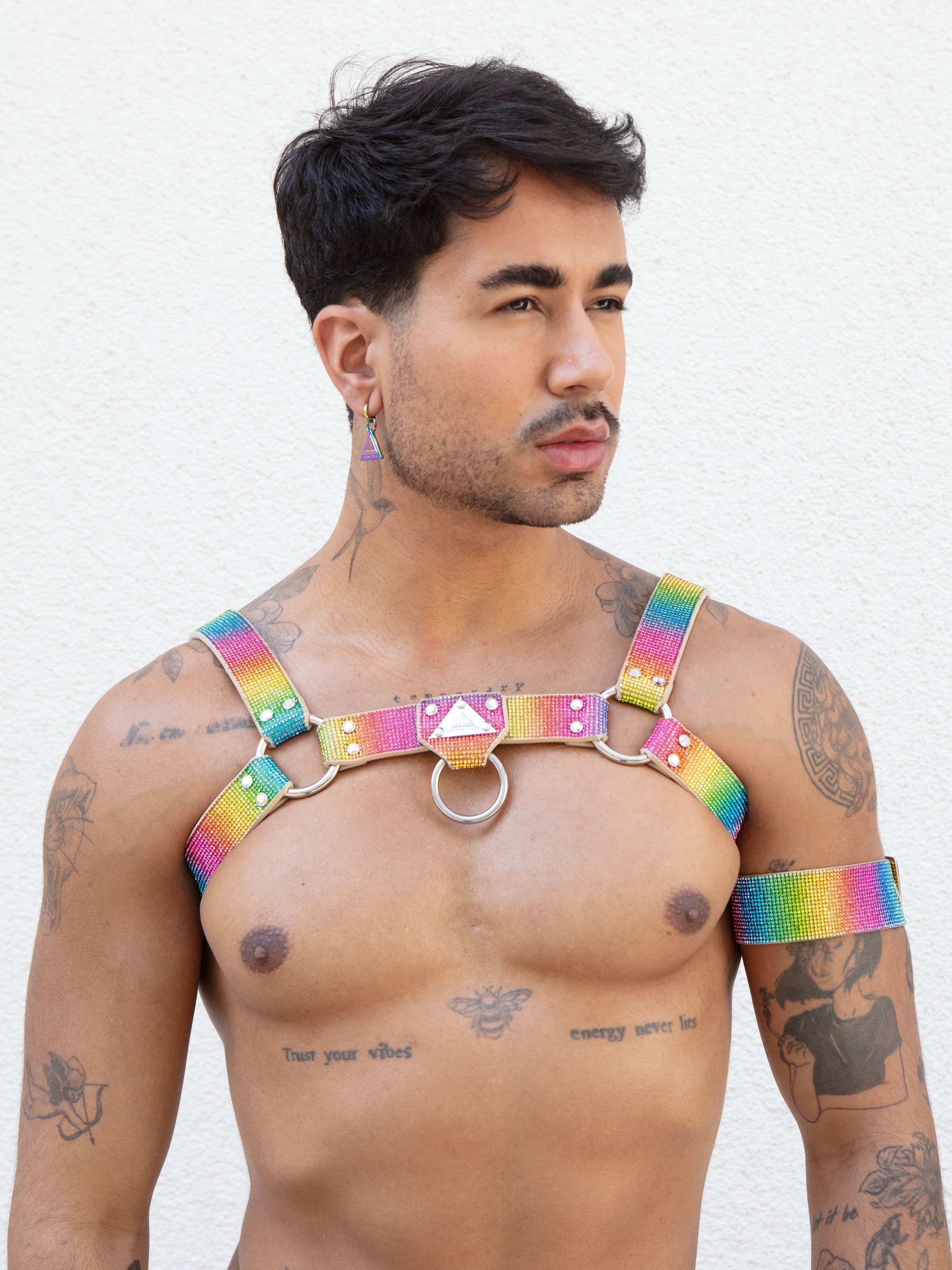 Product picture for H-Harness / bull Harness in crystal rainbow pride colour by Lorand Lajos