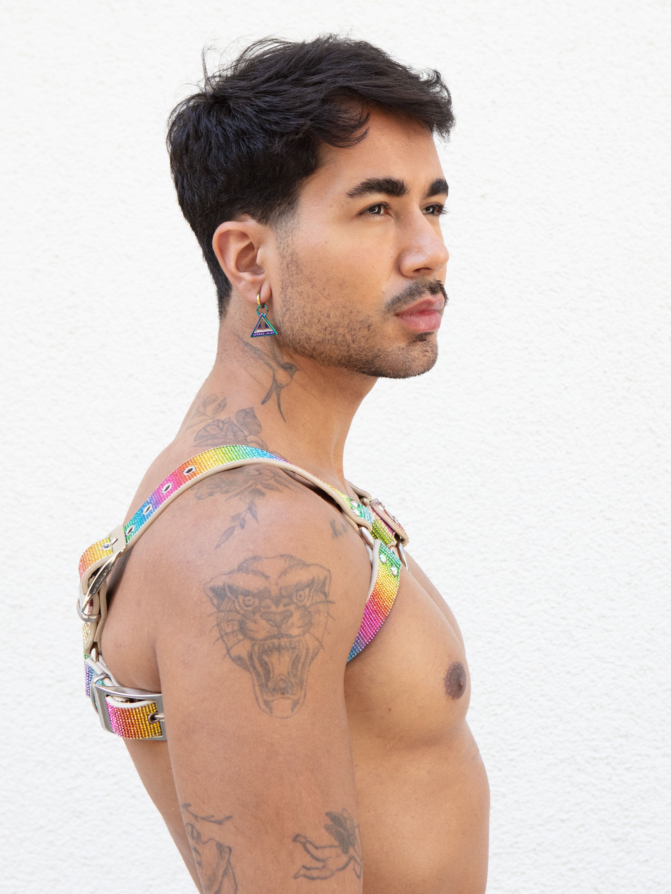 Product picture for H-Harness / bull Harness in crystal rainbow pride colour by Lorand Lajos