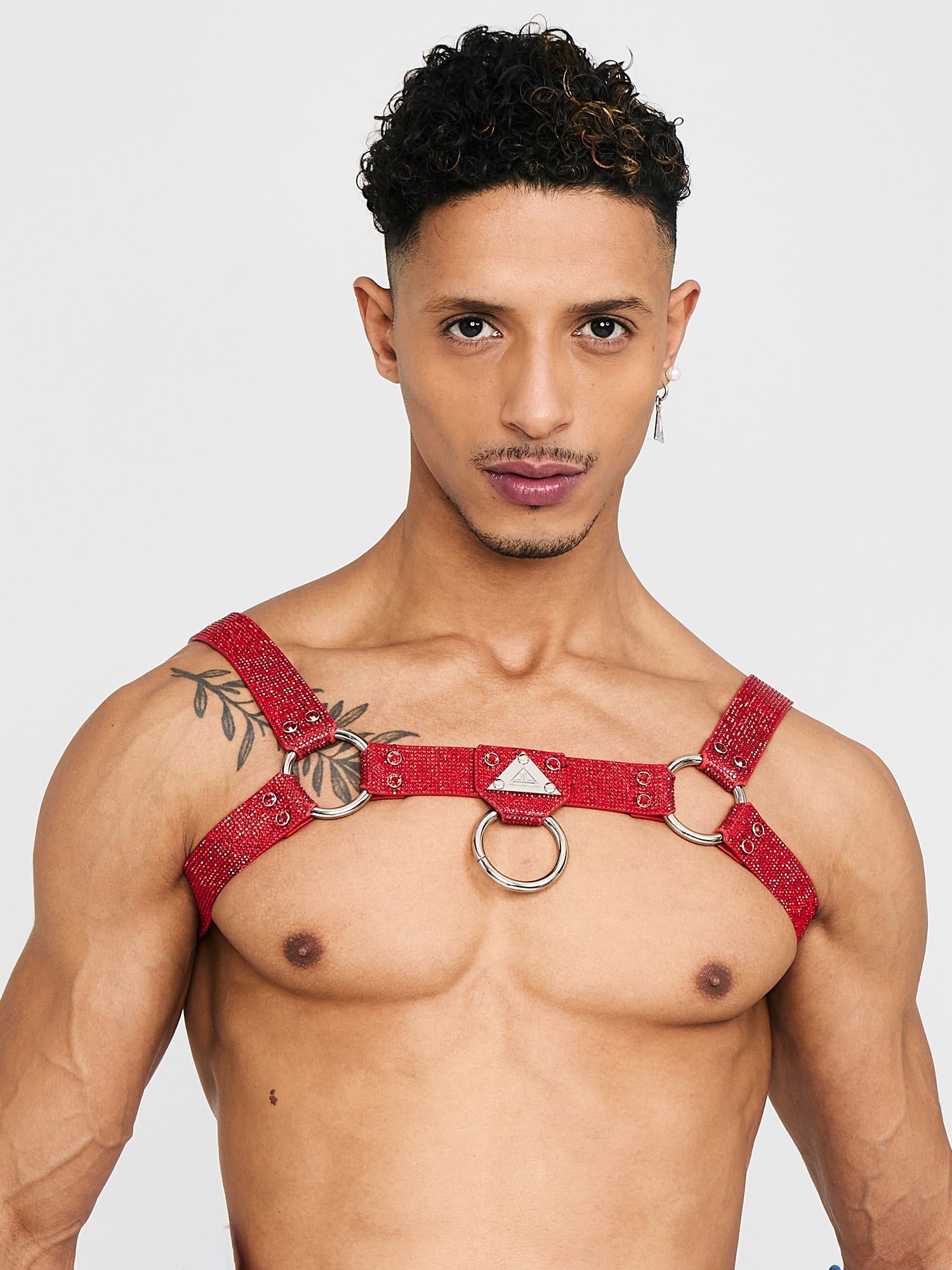 H-HARNESS Kristall