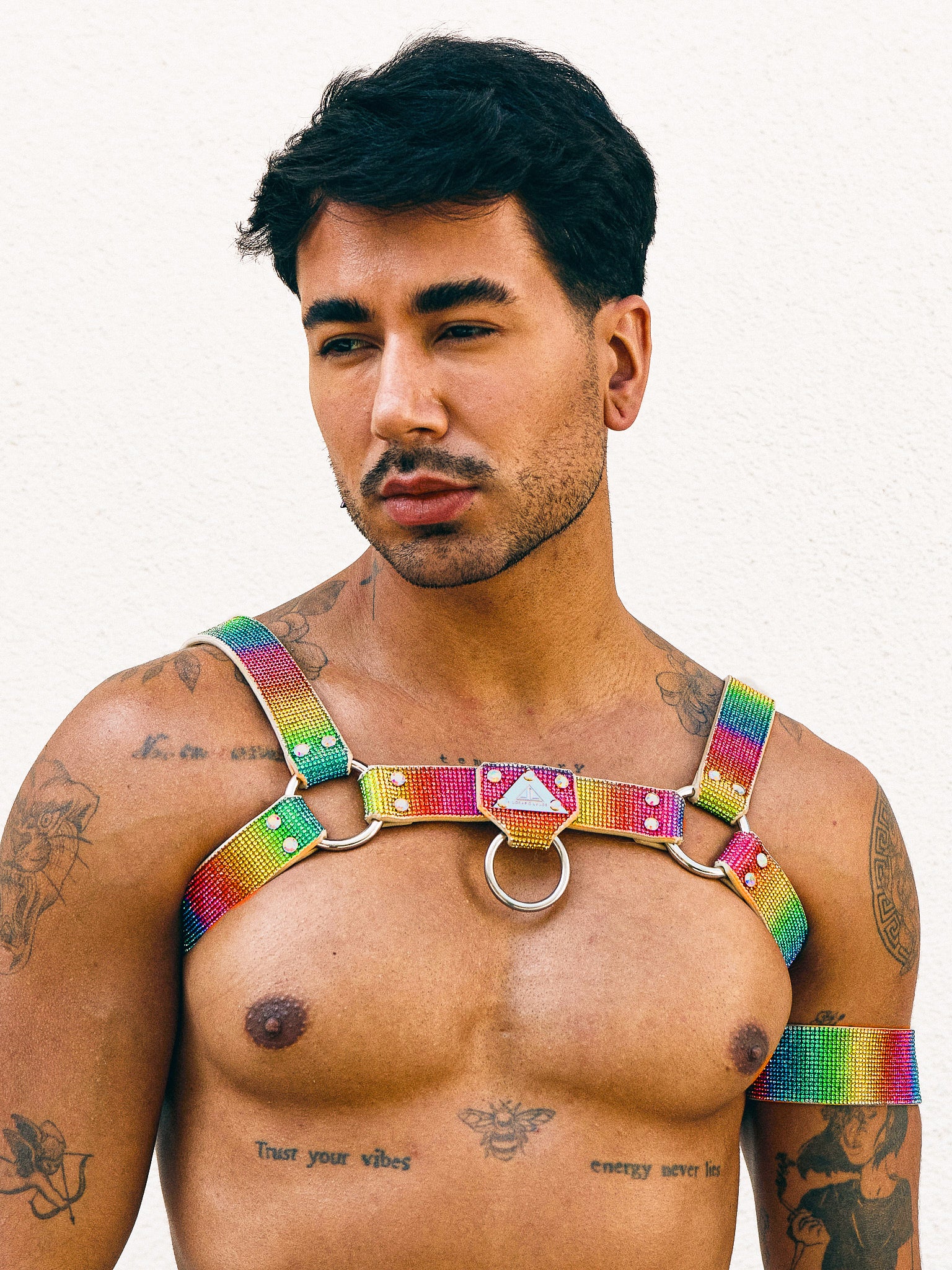 H-HARNESS PLAY RAINBOW