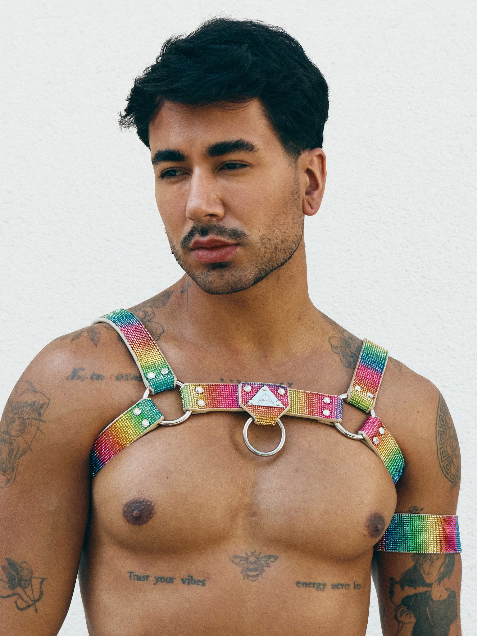 H-HARNESS PLAY RAINBOW
