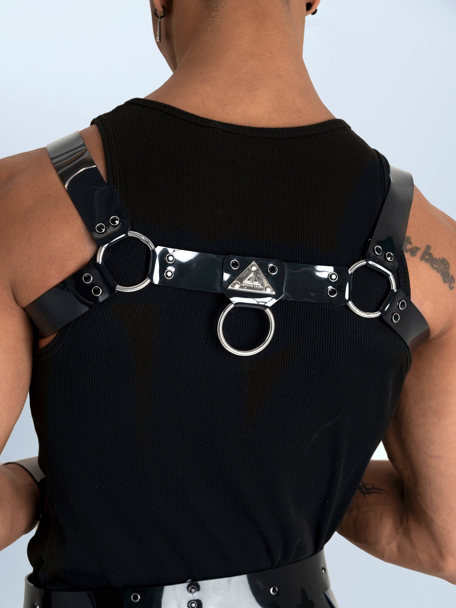 H-HARNESS Kristall